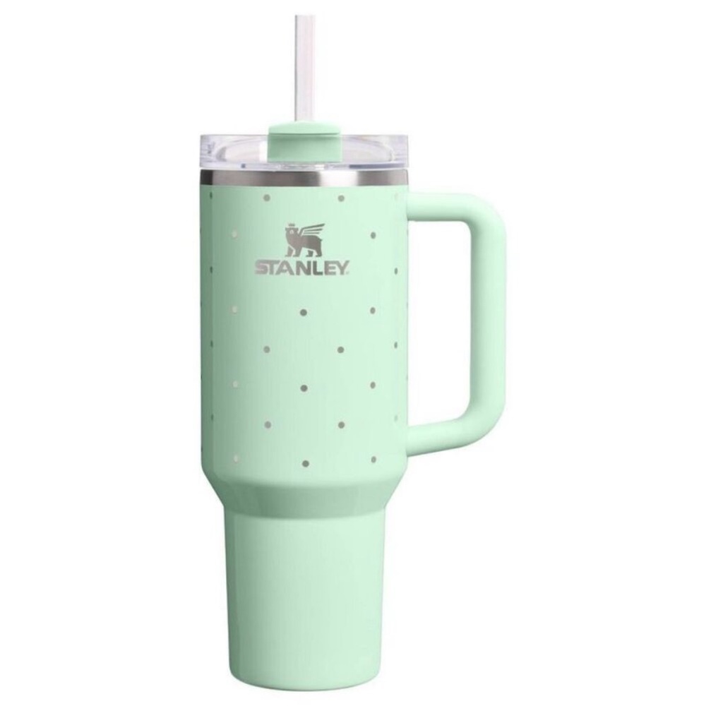 Stanley mint polka dot 40 oz cup